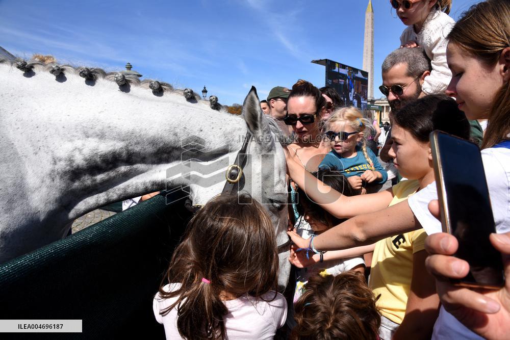 Horses In The City - Paris