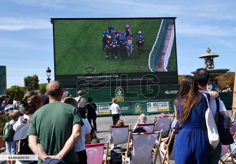 Horses In The City - Paris