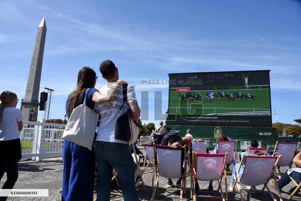Horses In The City - Paris