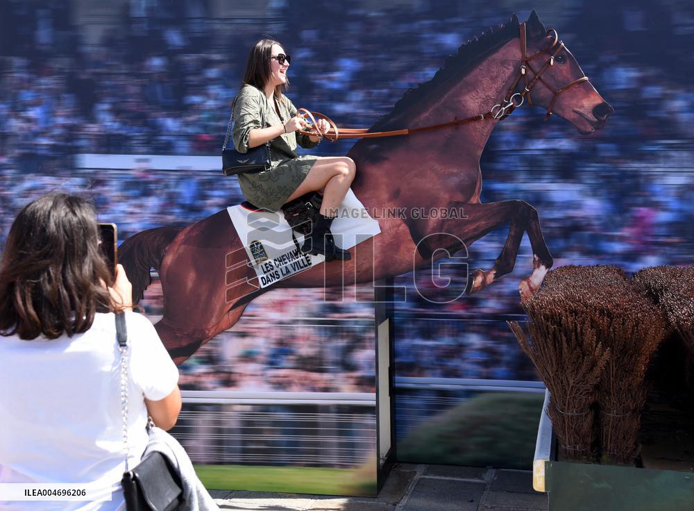 Horses In The City - Paris