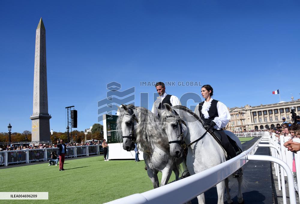 Horses In The City - Paris