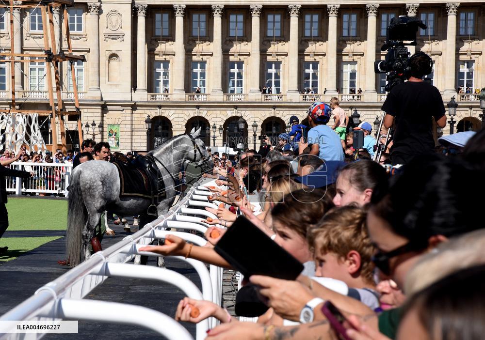 Horses In The City - Paris
