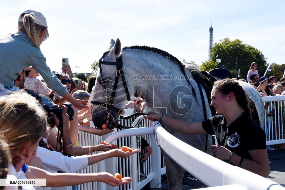 Horses In The City - Paris
