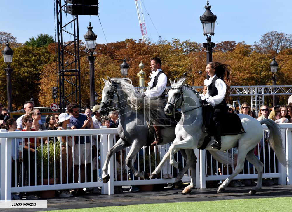 Horses In The City - Paris