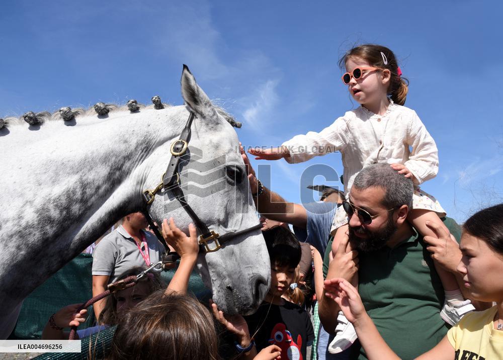 Horses In The City - Paris
