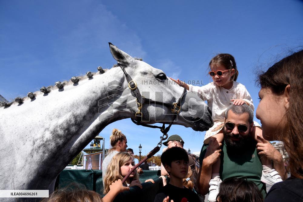 Horses In The City - Paris