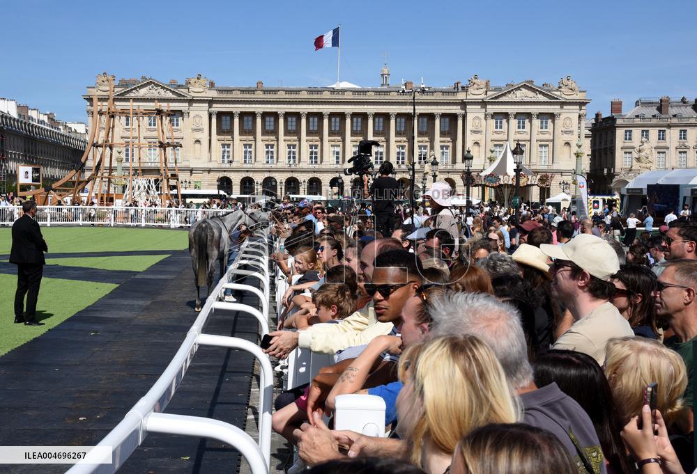 Horses In The City - Paris