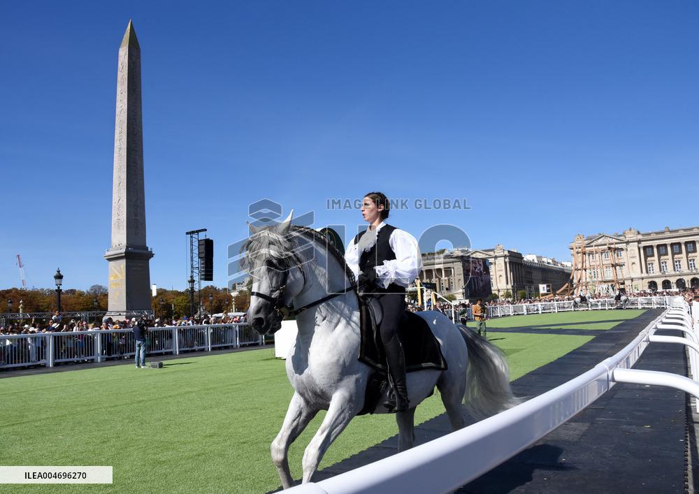 Horses In The City - Paris