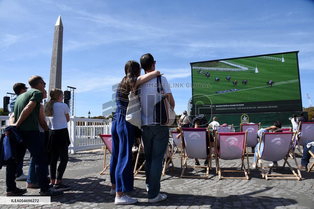 Horses In The City - Paris