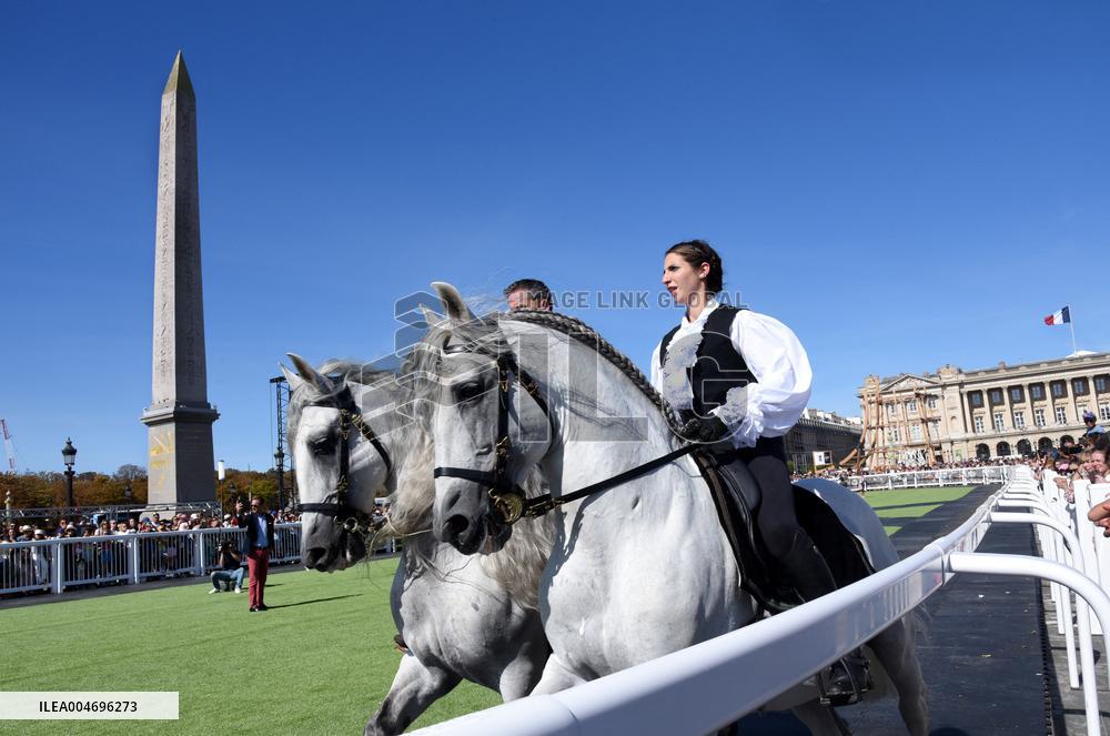 Horses In The City - Paris