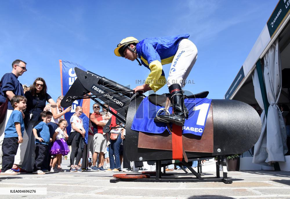 Horses In The City - Paris