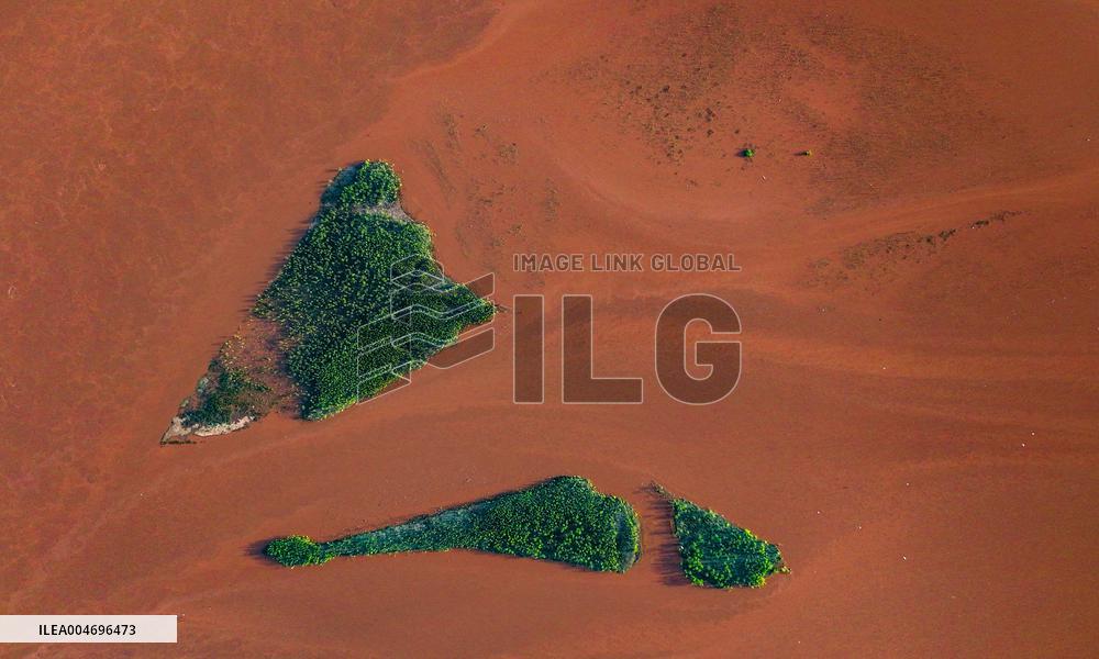 Yellow River Scenery - China