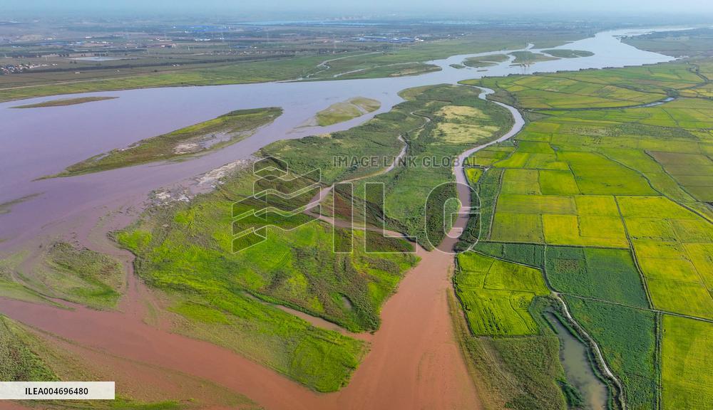 Yellow River Scenery - China
