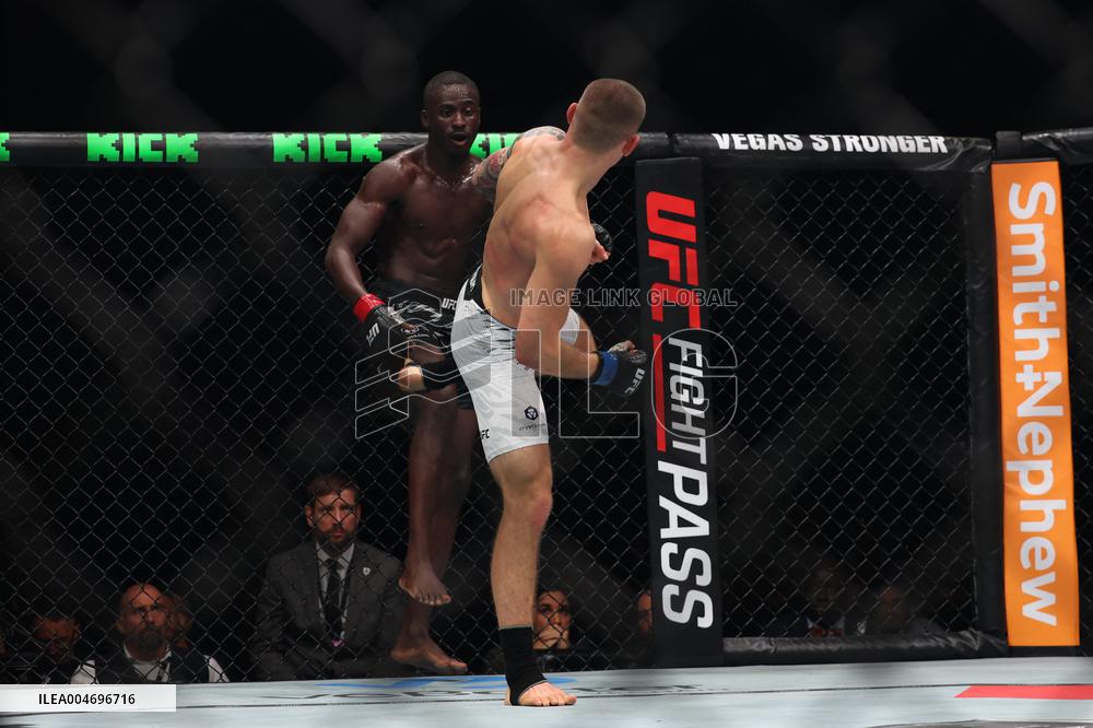 UFC Paris - William Gomis v Robert Ruchała