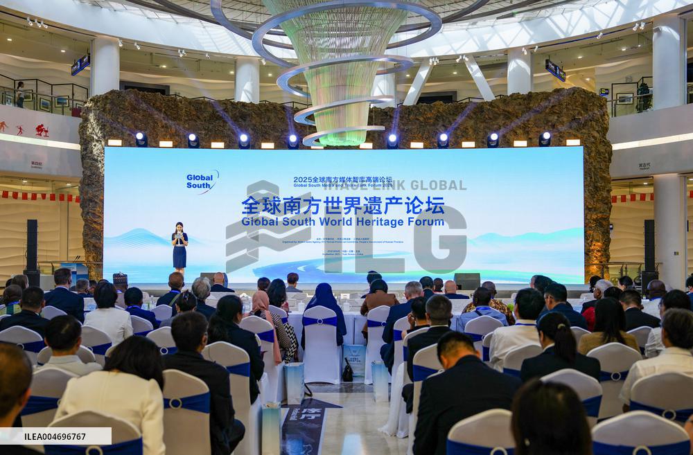Global South Media And Think Tank Forum - China