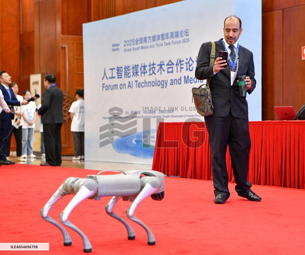 Global South Media And Think Tank Forum - China