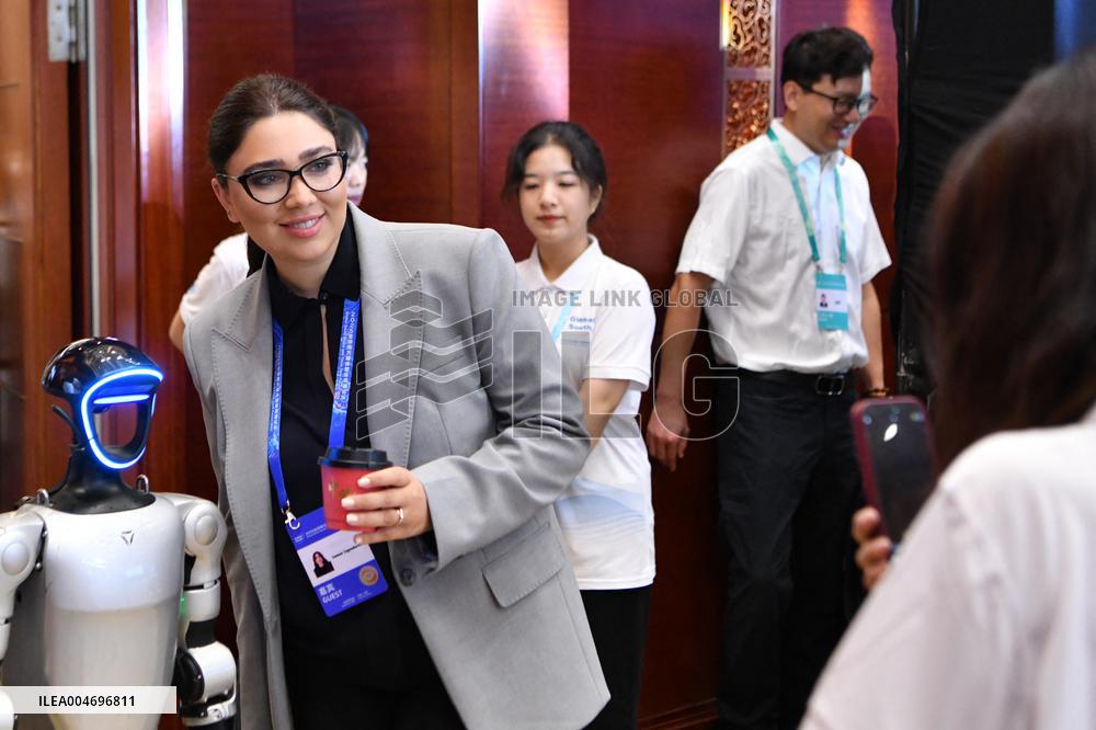 Global South Media And Think Tank Forum - China