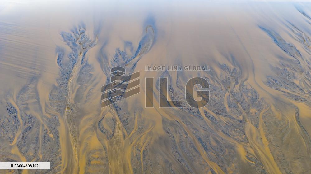 Tidal Trees Landscape