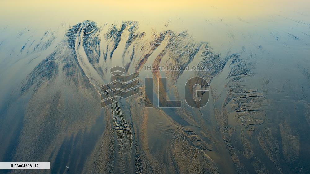 Tidal Trees Landscape