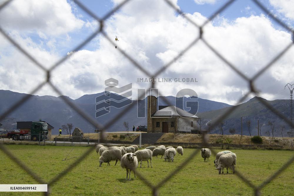 Carballeda Fire Burns 700 Hectares of Land - Spain