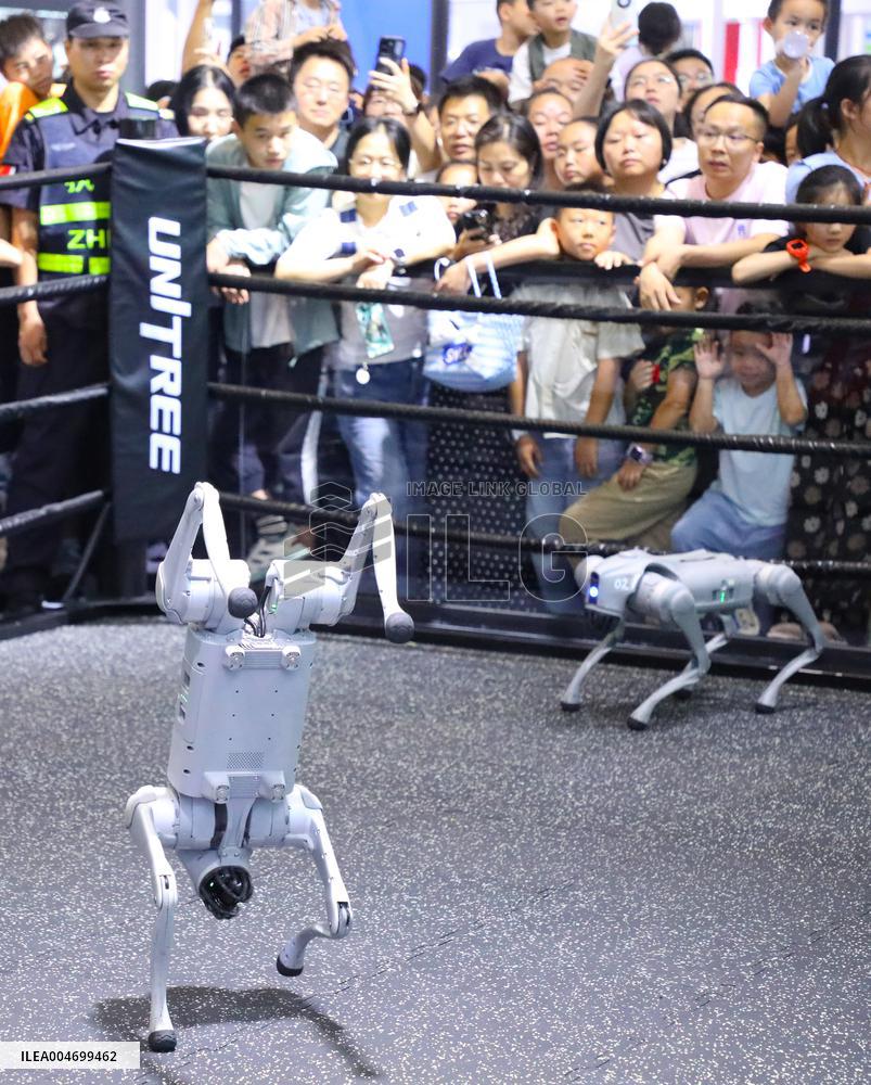 WORLD INTELLIGENCE EXPO 2025 in Chongqing