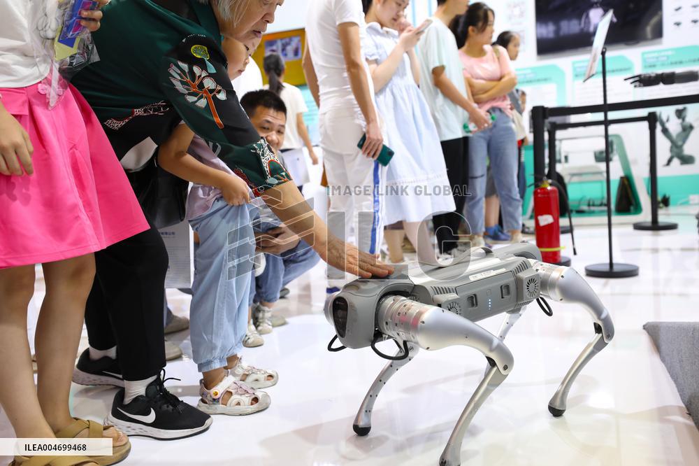 WORLD INTELLIGENCE EXPO 2025 in Chongqing