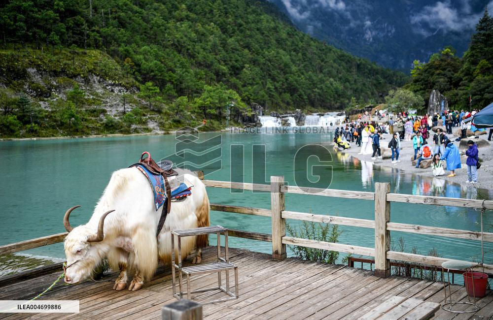 Lijiang Blue Moon Valley Scenery - Yunnan