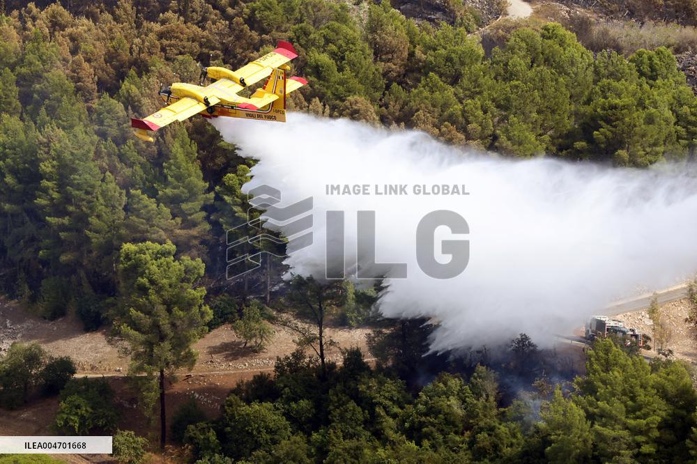 Fire in Partanna Forest - Italy