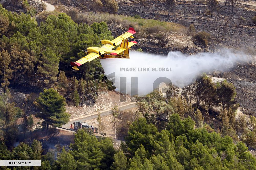 Fire in Partanna Forest - Italy