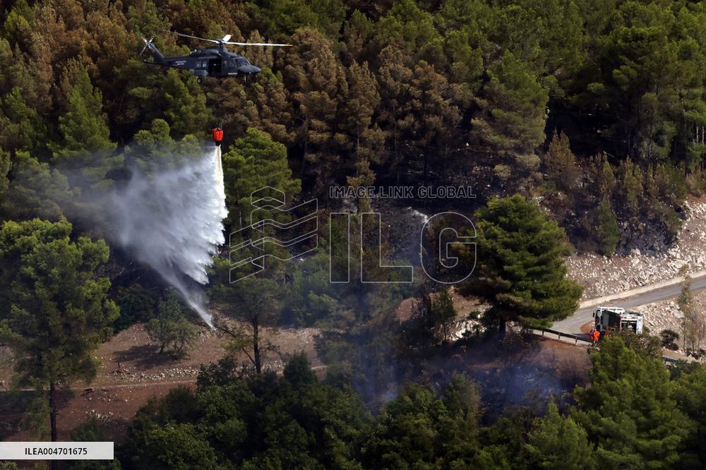 Fire in Partanna Forest - Italy