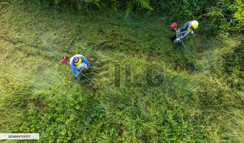 Living Environment Upgrading in Suqian