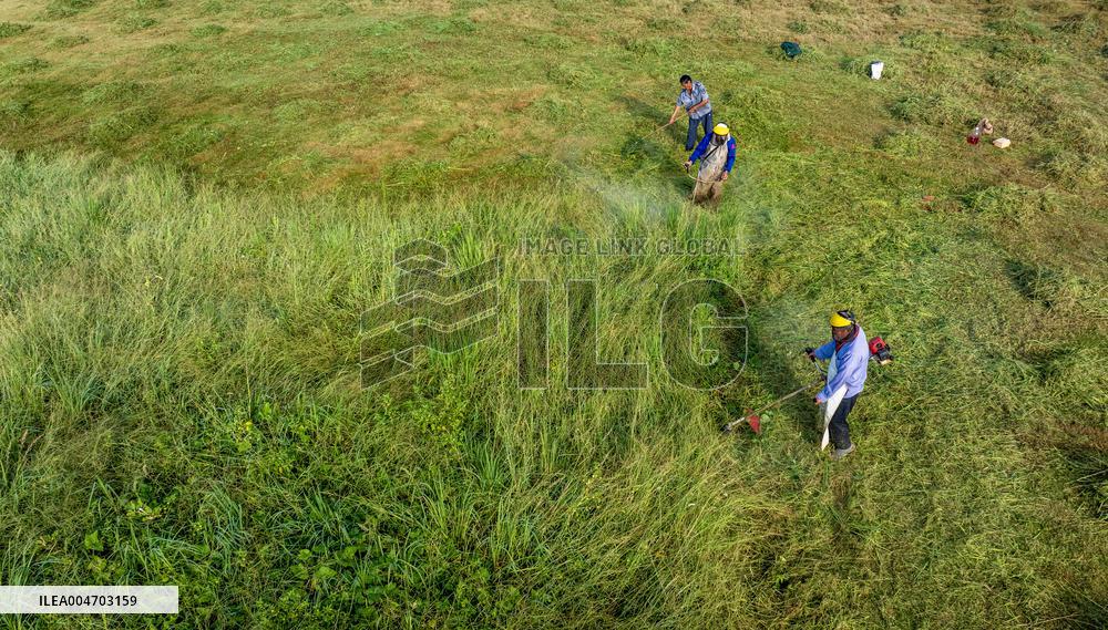 Living Environment Upgrading in Suqian