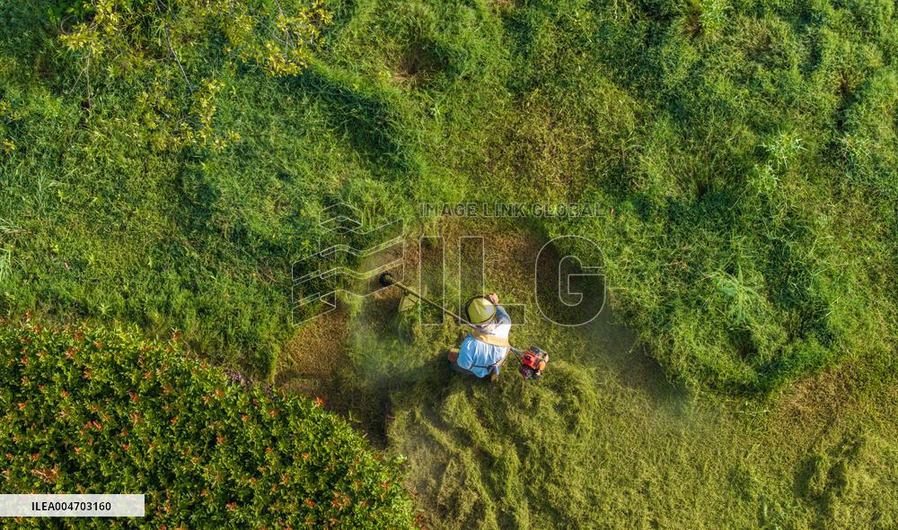 Living Environment Upgrading in Suqian