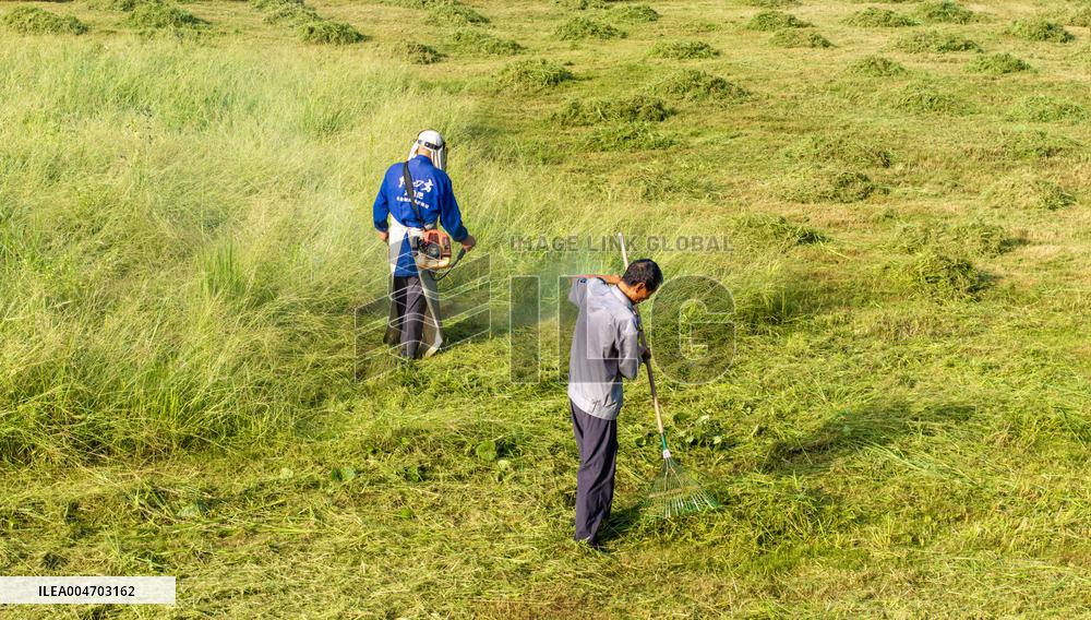 Living Environment Upgrading in Suqian