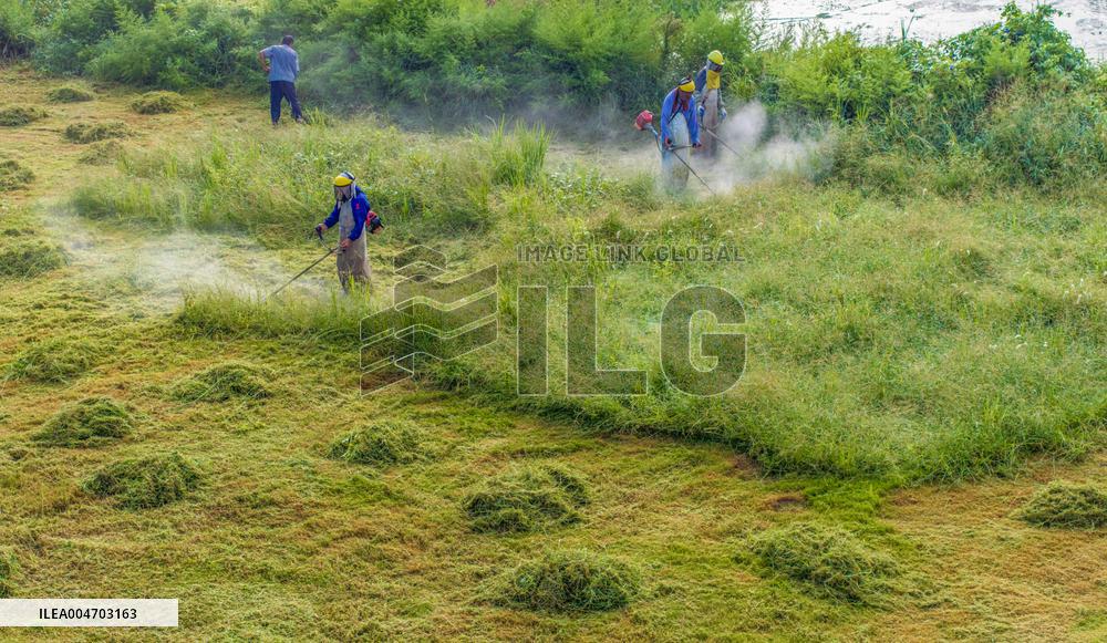 Living Environment Upgrading in Suqian