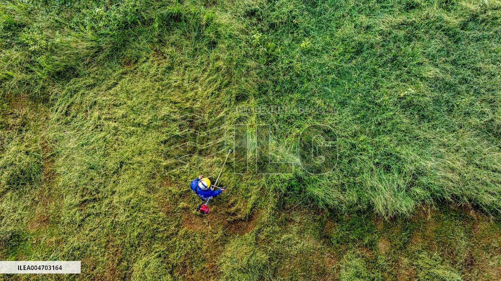 Living Environment Upgrading in Suqian