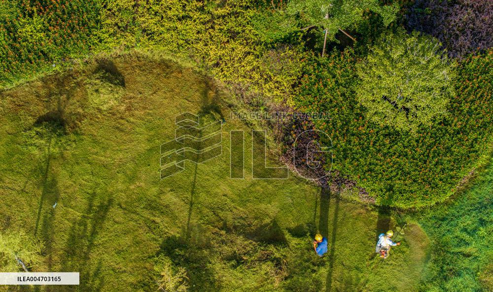 Living Environment Upgrading in Suqian