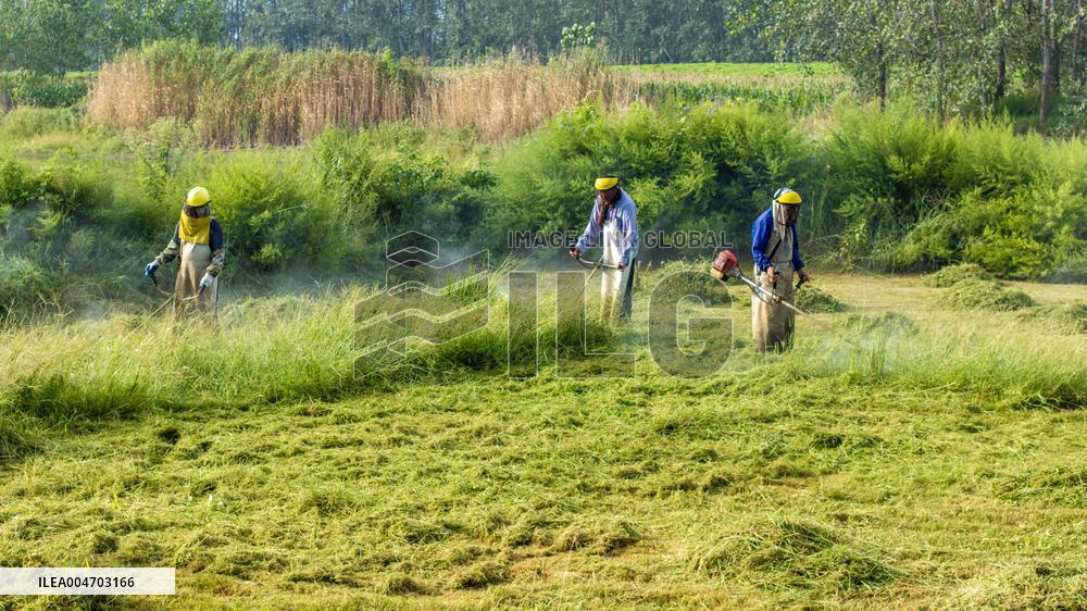 Living Environment Upgrading in Suqian