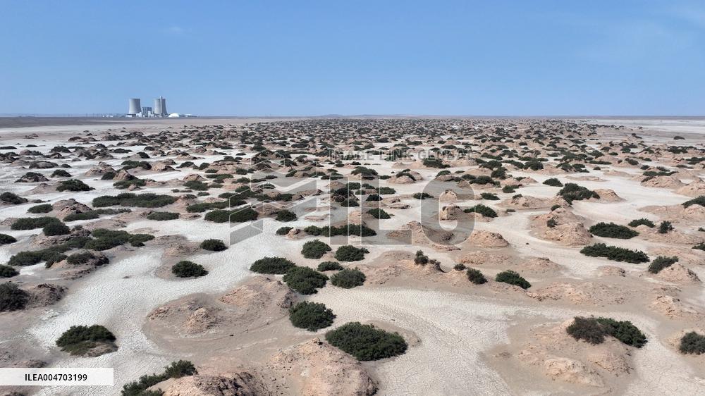 Gobi Desert Ecology in Hami