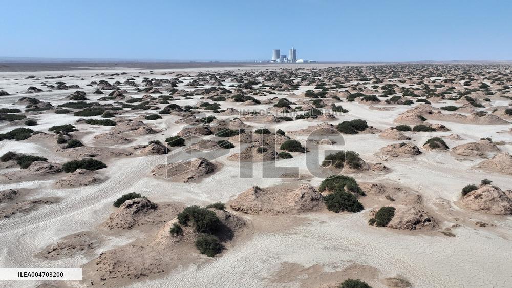 Gobi Desert Ecology in Hami