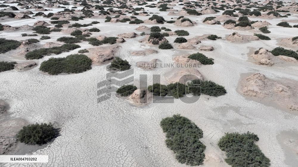 Gobi Desert Ecology in Hami