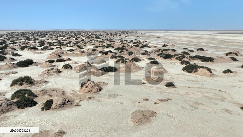 Gobi Desert Ecology in Hami