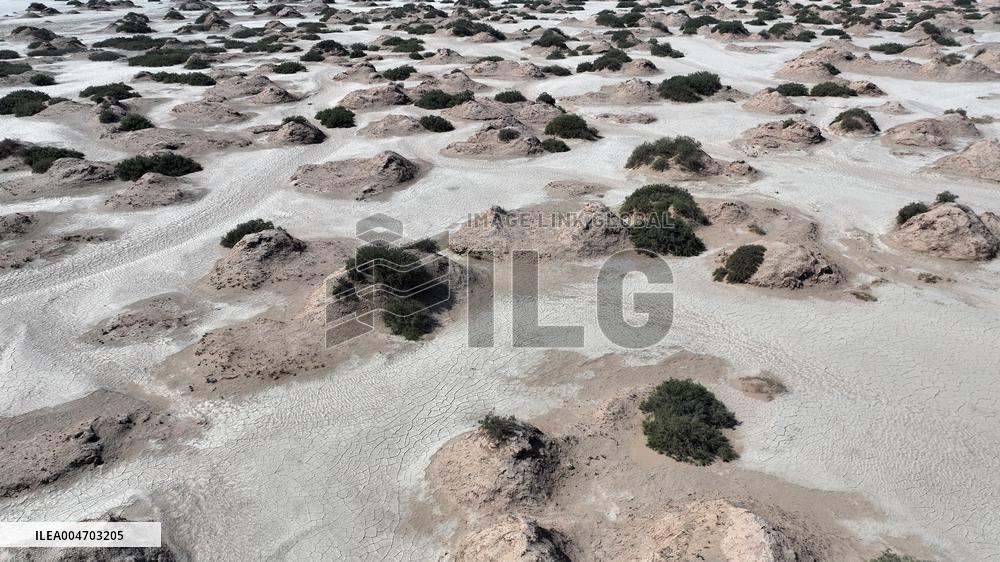 Gobi Desert Ecology in Hami