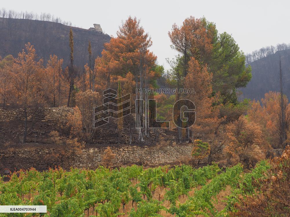 Illustration - Corbieres