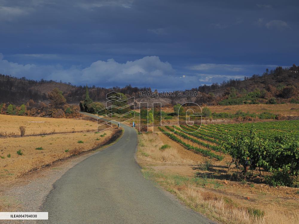 Illustration - Corbieres