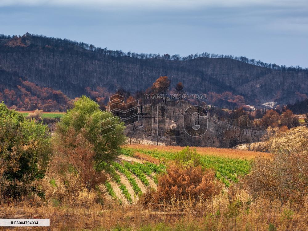 Illustration - Corbieres