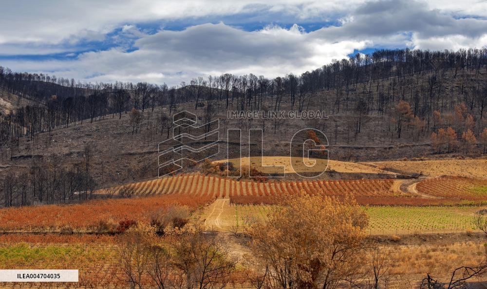 Illustration - Corbieres