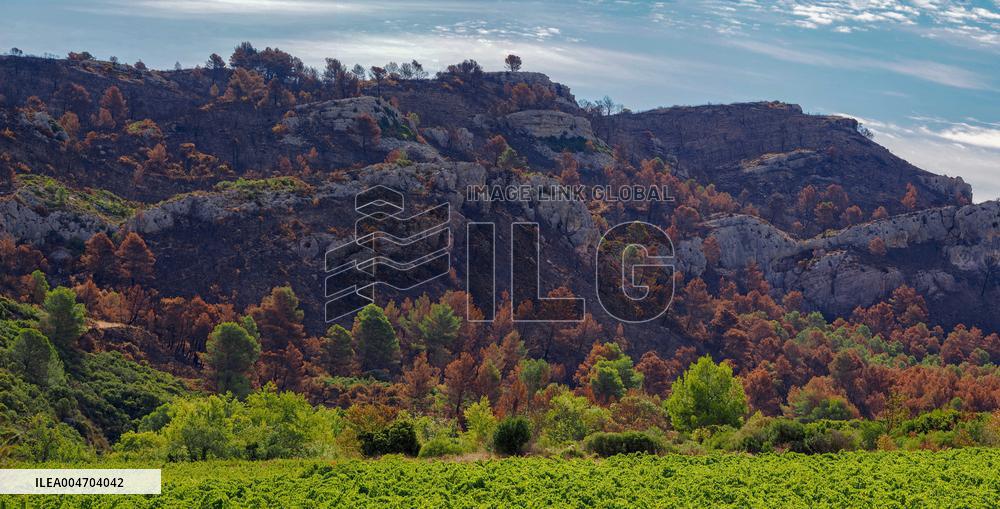 Illustration - Corbieres