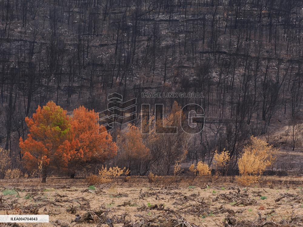 Illustration - Corbieres