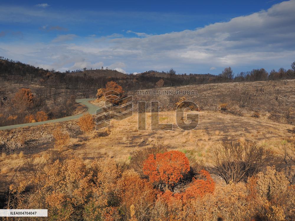 Illustration - Corbieres